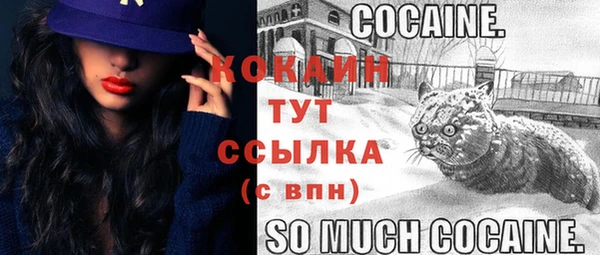 первитин Арсеньев