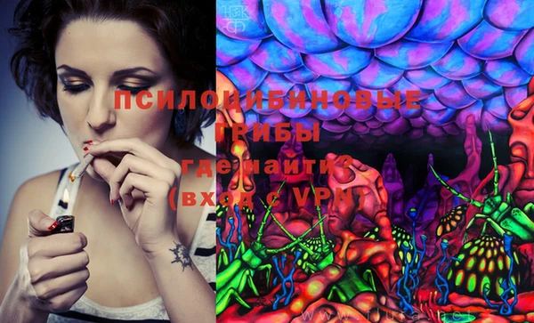 mdma Пестово