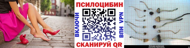 купить  цена  Нея  mega ТОР  Псилоцибиновые грибы Magic Shrooms 